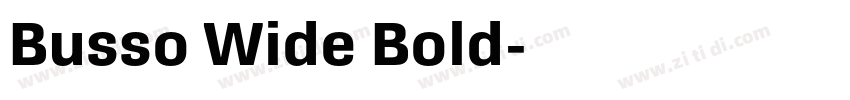 Busso Wide Bold字体转换 Busso Wide Bold字体转换